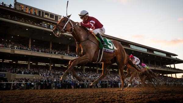 Gun Runner: Qualities a Horse Needs for a Long, Successful Racing Career