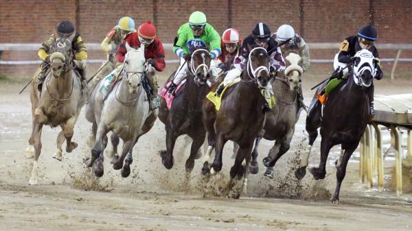 Top Win Contenders in 2022 Kentucky Jockey Club Stakes