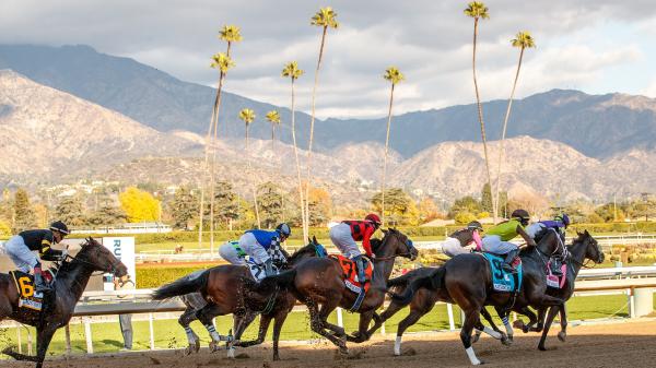 Openings and Closings: A Season of Change in Horse Racing