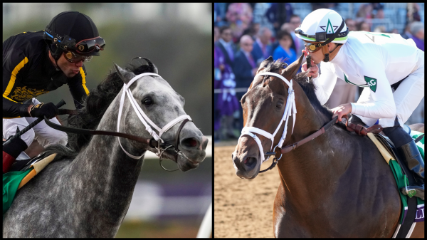 2022 Pegasus World Cup Cheat Sheet: Get to Know the Horses