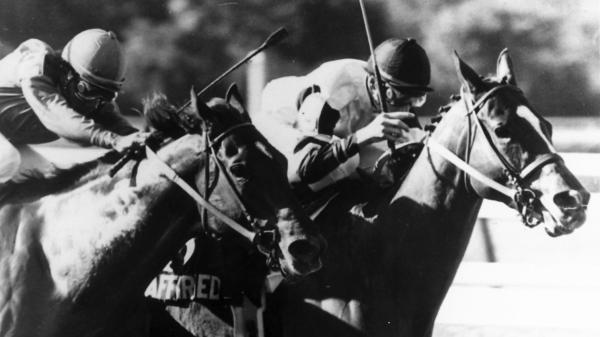 The Sport’s Great Rivalries: Affirmed and Alydar