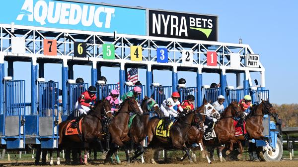 Noel’s Weekend Winners: Saturday Stakes Selections at the Big A