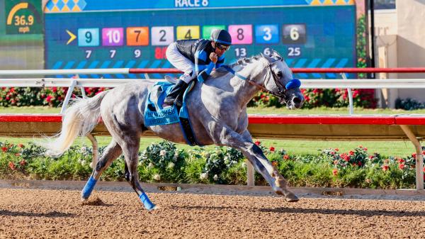 American Theorem Much the Best in Bing Crosby, Royal Ship Strikes in San Diego