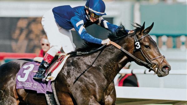 Favorite Trick: Special Racehorse, Remarkable Season