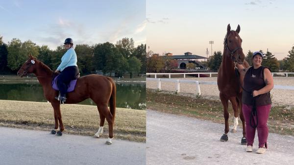 Thoroughbred Makeover Diary: A Week of Absolute Joy with Finnick the Fierce