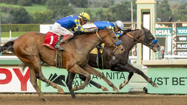 Reincarnate Battles Back to Post Determined Victory in Sham Stakes