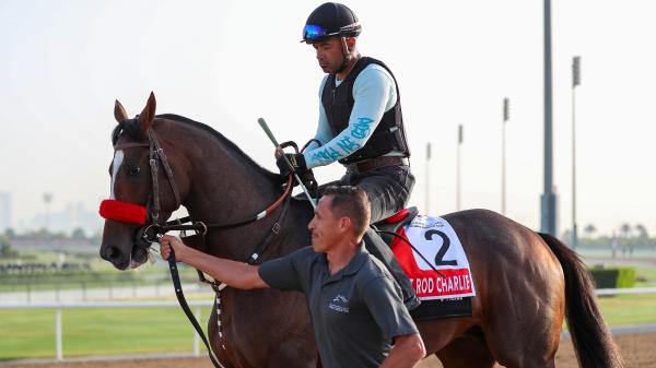 Patrick O’Neill’s Dubai Diary: An Incredible Journey With Hot Rod Charlie