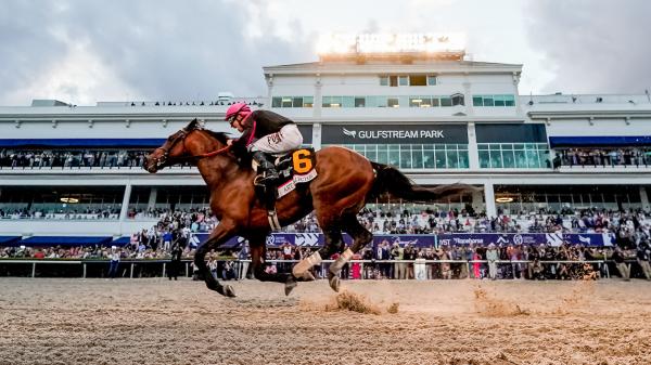 Key Takeaways from Pegasus World Cup Day 2023