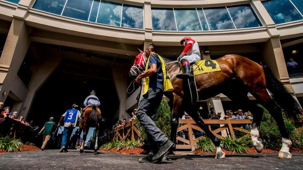 Betting a Hot Trainer-Jockey Combo in the Gun Runner Stakes