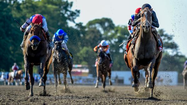 Key Takeaways You Need to Know from Haskell Stakes Saturday