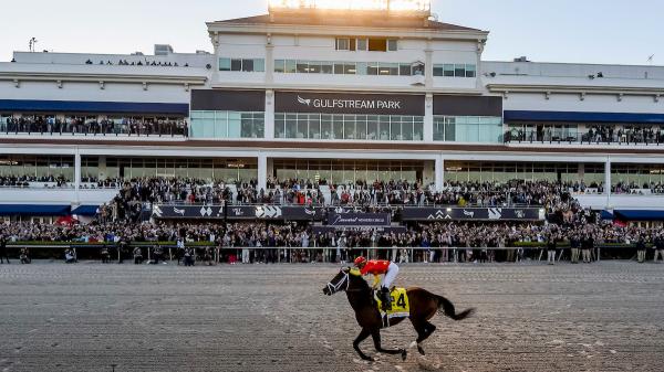 What to Know About the 2023 Pegasus World Cup Card