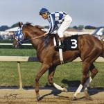 Secretariat, the Preakness, and a 39-Year Controversy