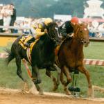 Sunday Silence: The Star No One Wanted